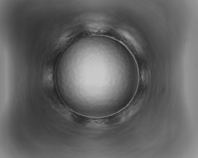 X0000111931396200908031109