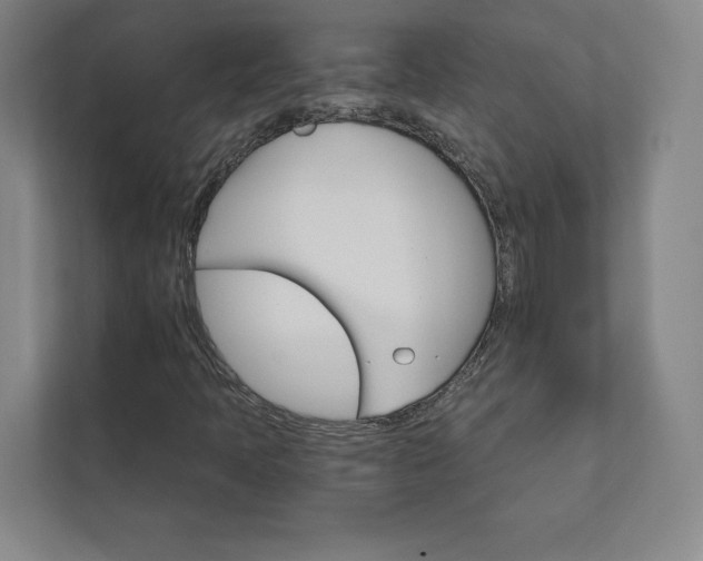 X0000111931397200908031109