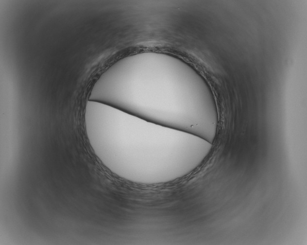 X0000111931398200908031109