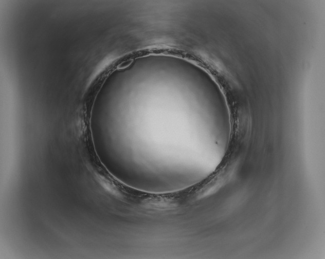X0000111931400200908031109