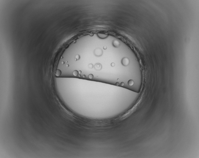 X0000111931402200908031109