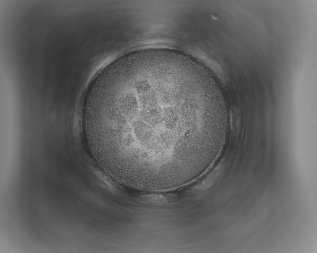 X0000111931405200908031109