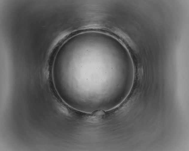 X0000111931406200908031109