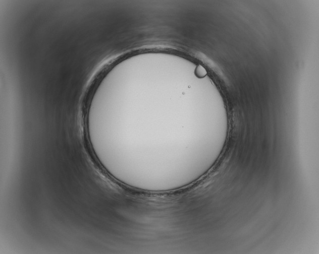 X0000111931408200908031109