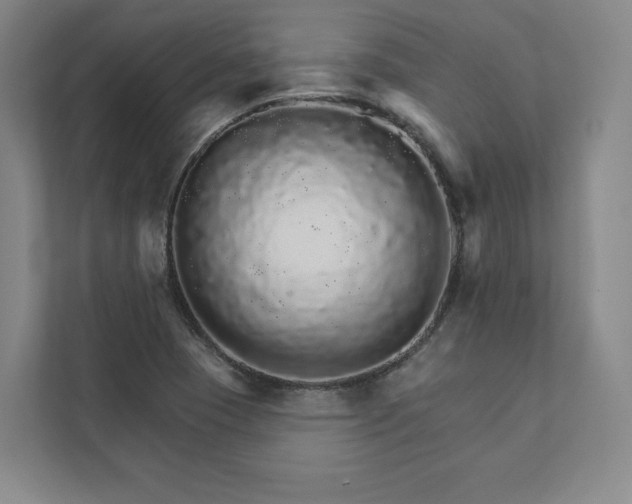 X0000111931409200908031109