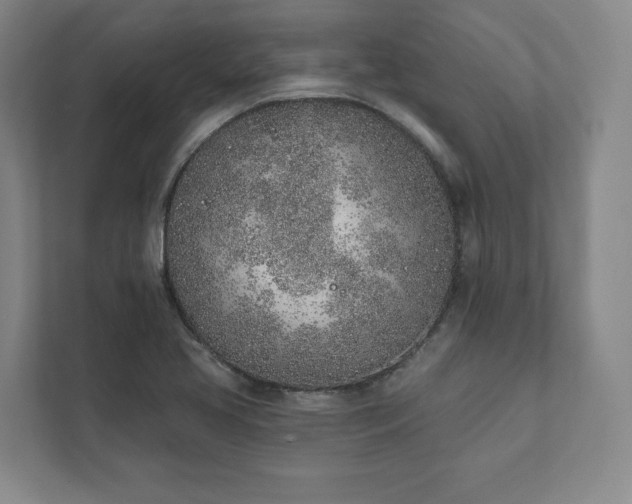 X0000111931413200908031109