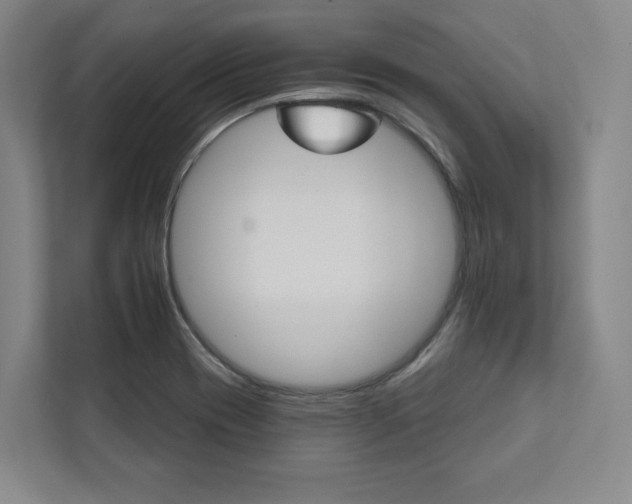 X0000111931417200908031109