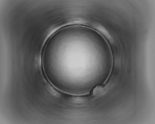 X0000111931420200908031109