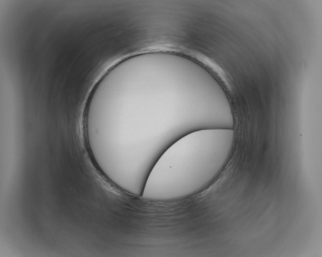 X0000111931423200908031109