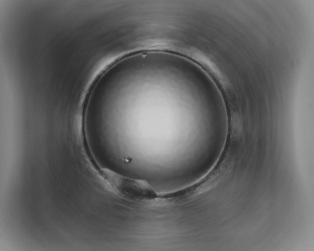 X0000111931424200908031109