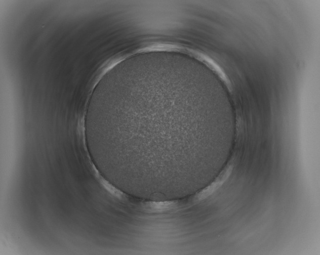 X0000111931425200908031109