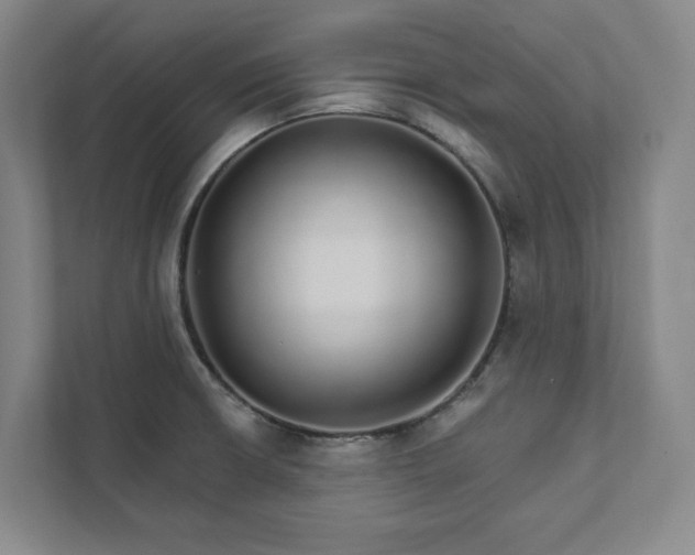 X0000111931426200908031109