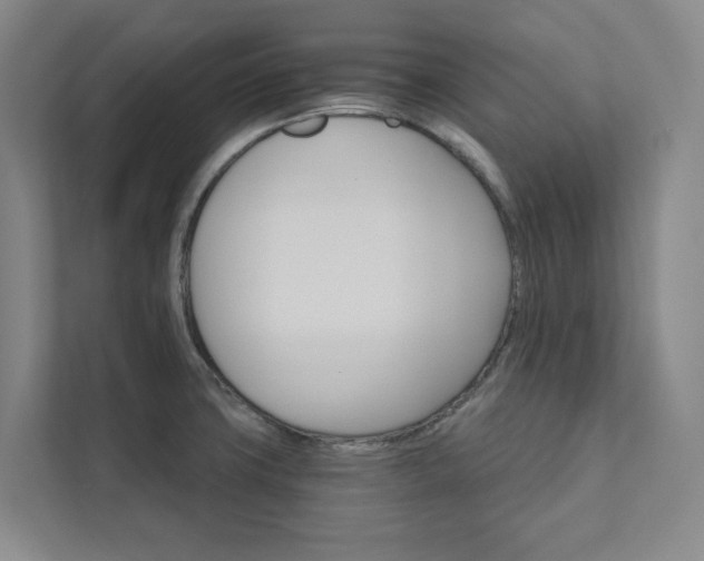 X0000111931427200908031109