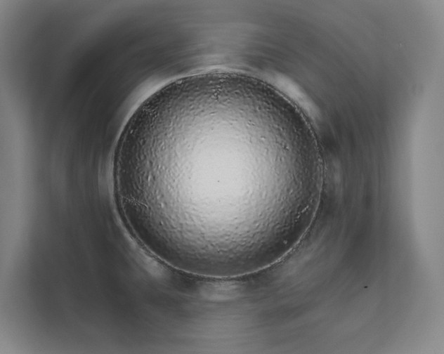 X0000111931431200908031109