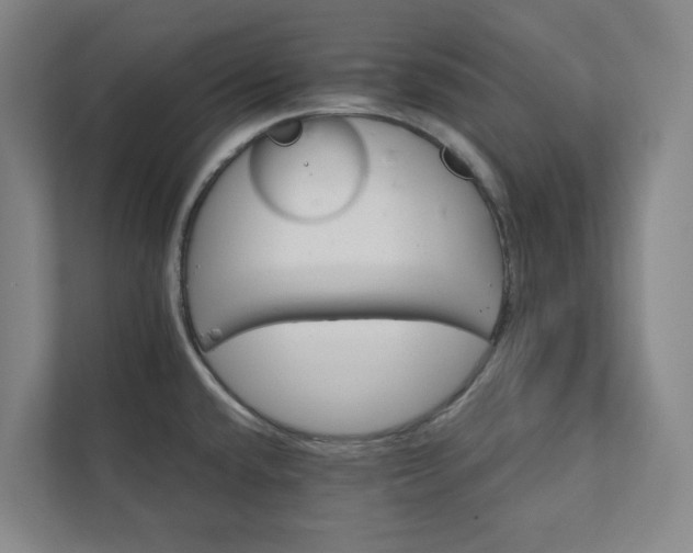 X0000111931432200908031109