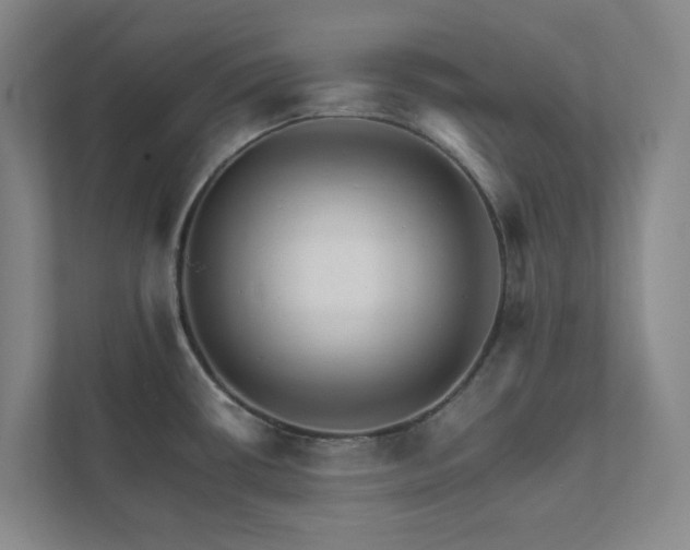 X0000111931434200908031109
