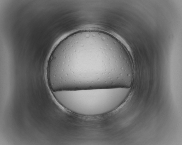 X0000111931437200908031109