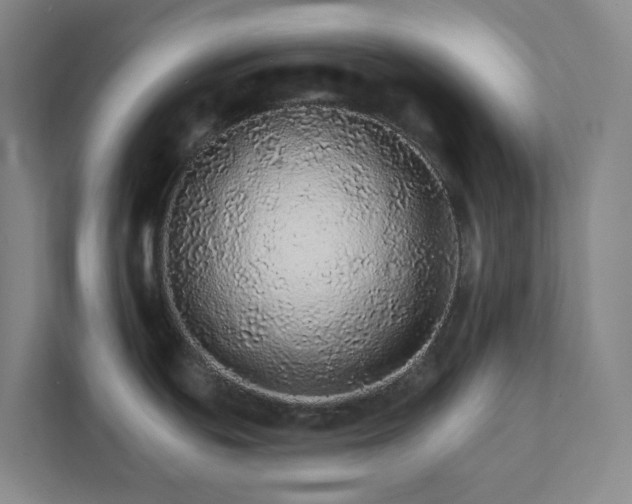 X0000111931439200908031109