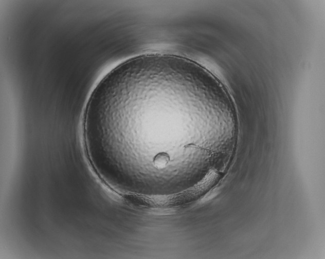X0000111931440200908031109