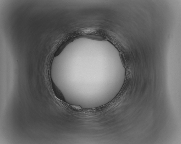 X0000111931441200908031108