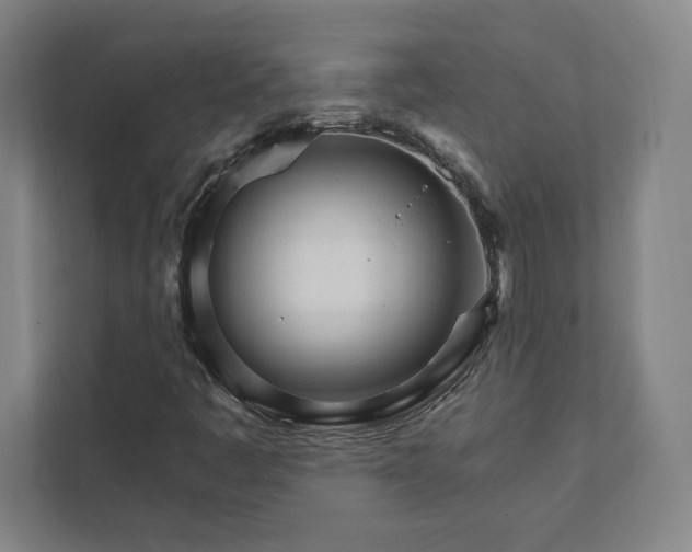 X0000111931445200908031108