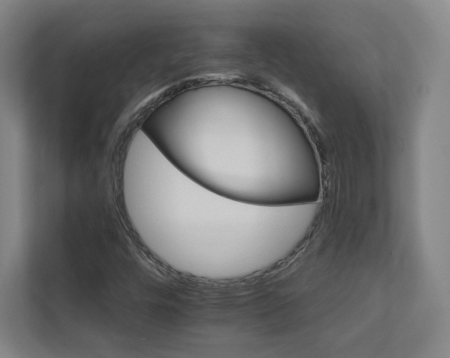 X0000111931448200908031108