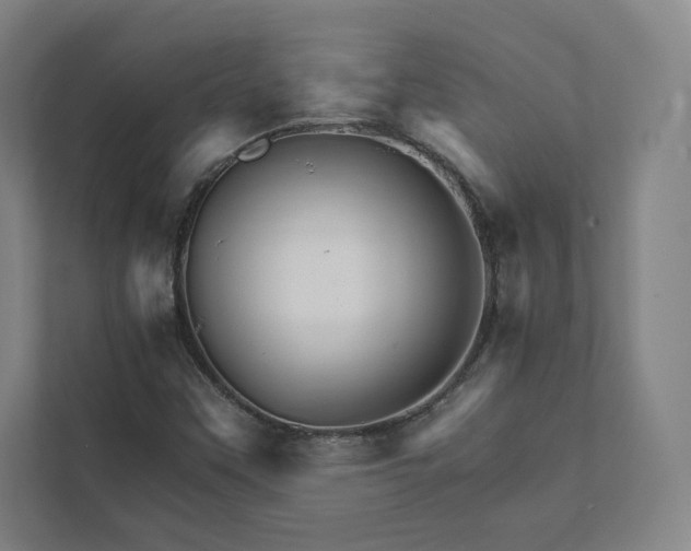 X0000111931451200908031108