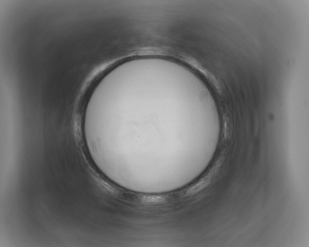 X0000111931454200908031108