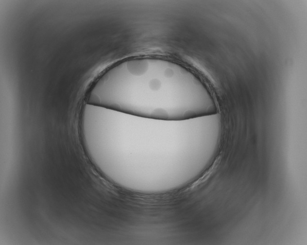 X0000111931455200908031108