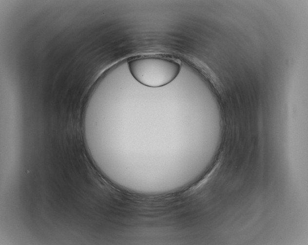 X0000111931457200908031108