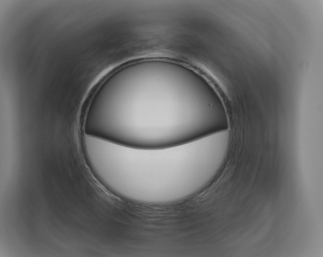 X0000111931460200908031108
