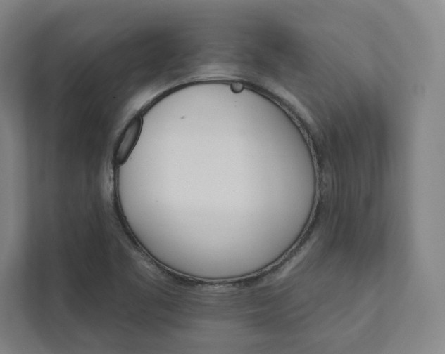 X0000111931461200908031108