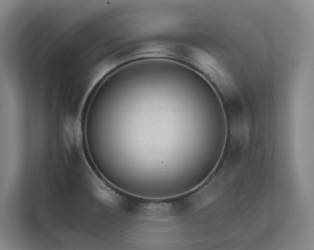 X0000111931466200908031108