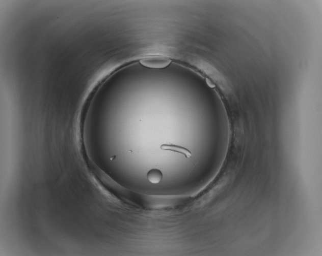 X0000111931469200908031108