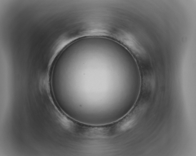 X0000111931470200908031108