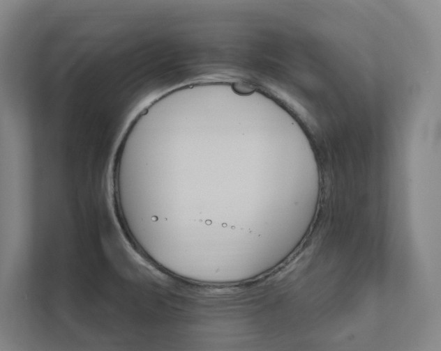 X0000111931471200908031108