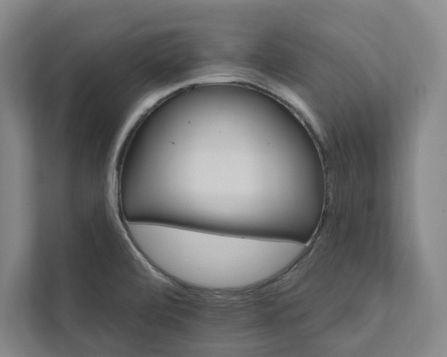 X0000111931472200908031108