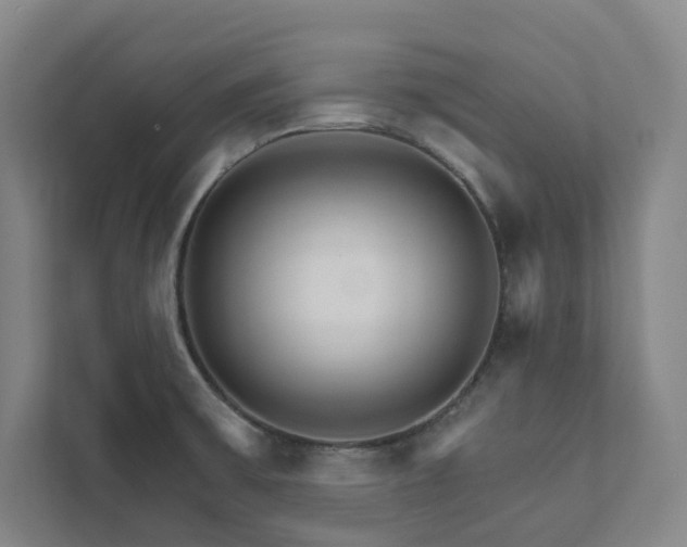 X0000111931475200908031108
