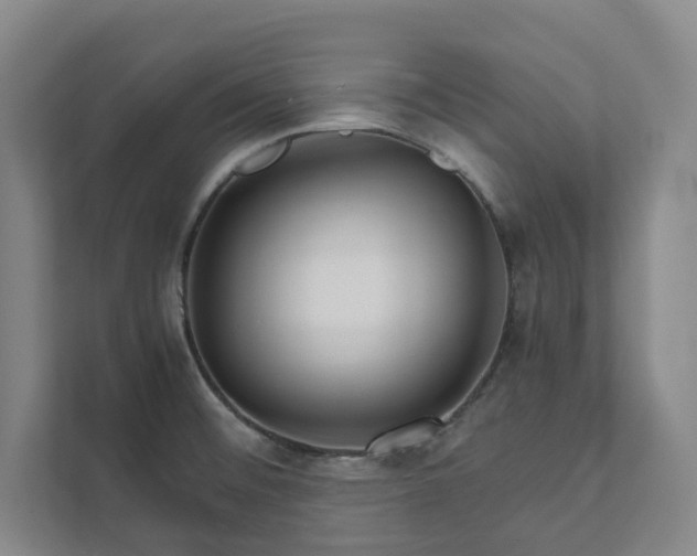 X0000111931476200908031108