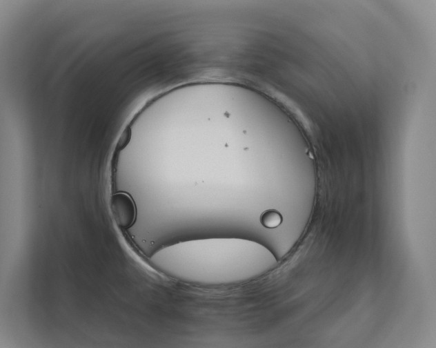 X0000111931479200908031108