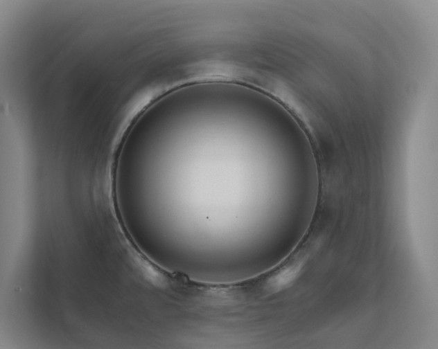 X0000111931480200908031108