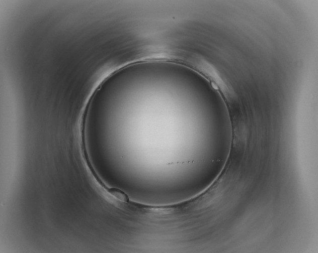 X0000111931483200908031108