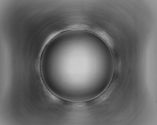 X0000111931486200908031108