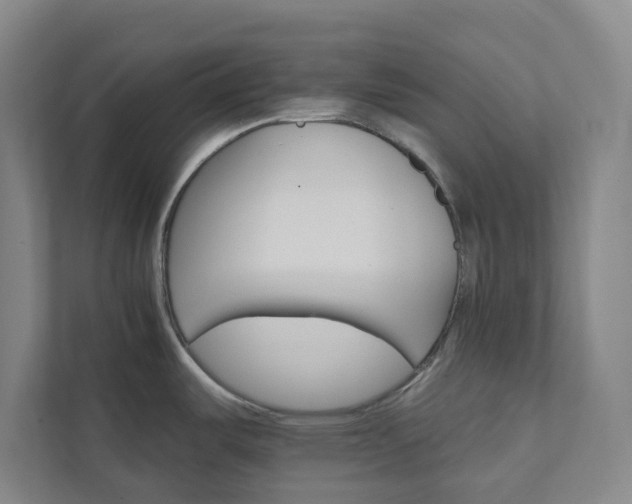X0000111931487200908031108