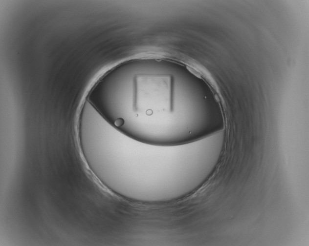 X0000111931488200908031108