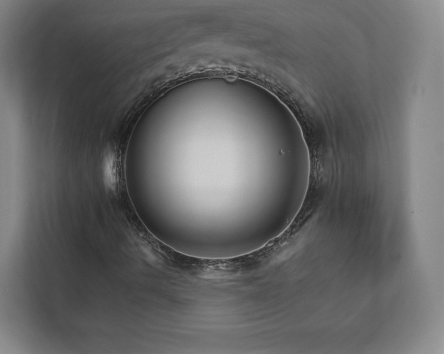 X0000111931490200908031107