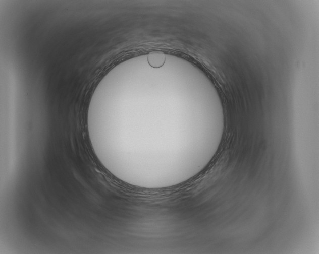 X0000111931492200908031107
