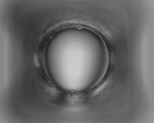 X0000111931494200908031107