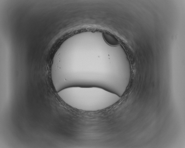 X0000111931495200908031107