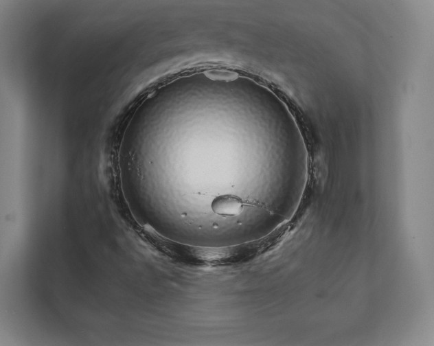 X0000111931496200908031107